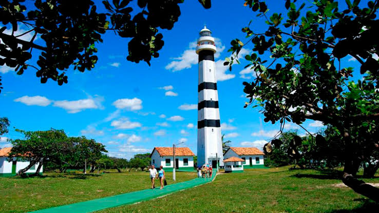 Tour pelo Rio Preguiças - Imagem 5