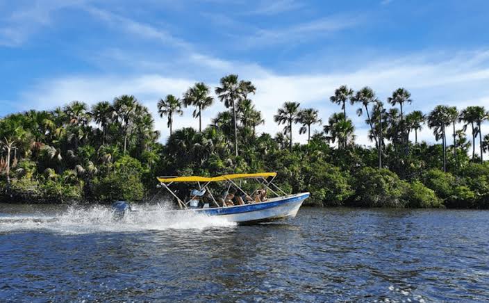 Tour pelo Rio Preguiças - Imagem 8